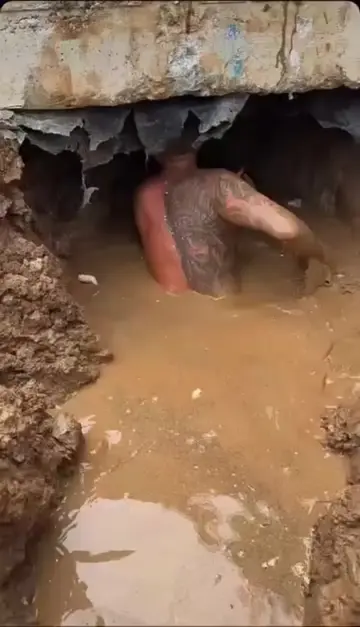 Some jobs make you question your life choices. This one got sent in a while back