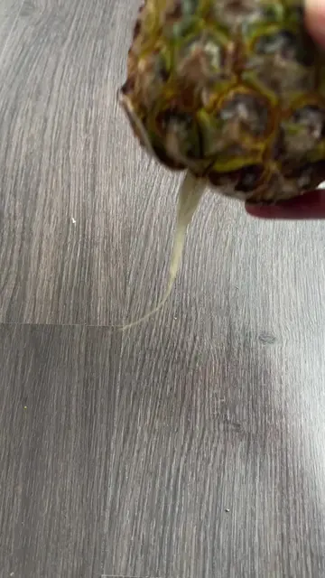 1 year later…this pink pineapple seed really surprised me 👀🍍 Almost 365 days o