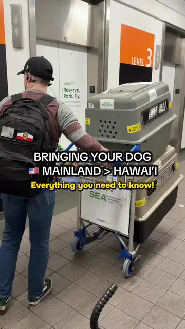 🐶🌺 HOW WE MOVED OUR 2 DOGS FROM MARYLAND TO HAWAII First, a disclaimer: this w