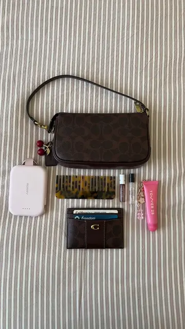 What’s in my Coach Plaza 18??  #whatsinmybag #purse #coach #minibag #fyp 