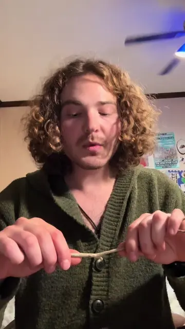 What have I done