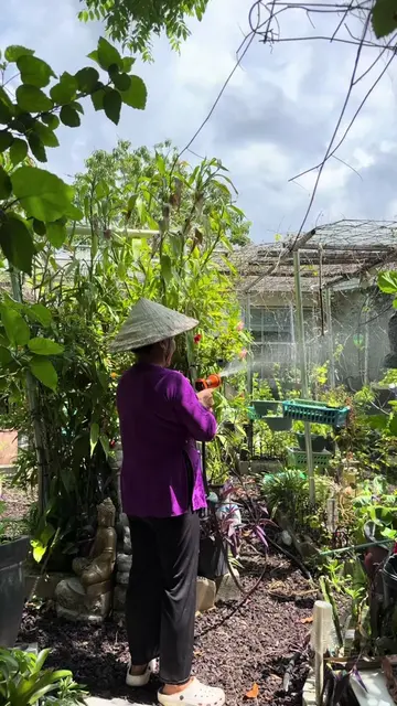 Florida gardening in the summer is no joke! 🥵☀️ Mama Judy was determined to kee