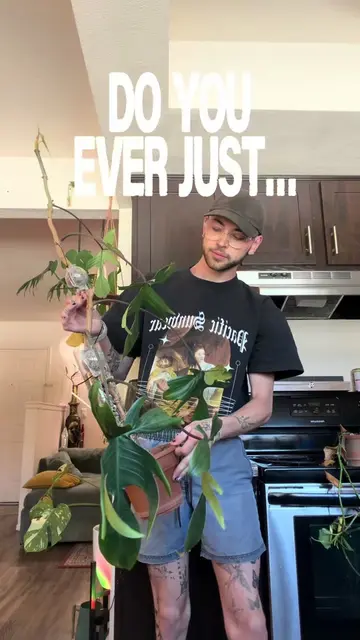 Sometimes… you just start to HATE A PLANT  • #plantsoftiktok #indoorplant #house