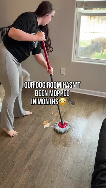 The rugs were hiding more than I thought😅🐾 #CleanTok #dogsoftiktok #dogmomlife