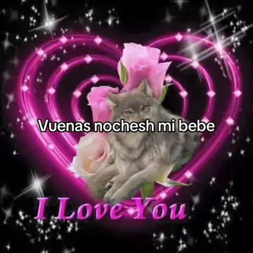 #humor #lobo #canciondeamor #amor #noche 