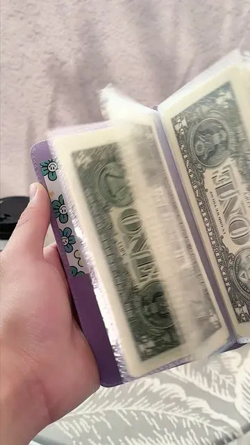 Así es como ahorré 6k en 3 meses #money #ahorro #flashsale #saving #viral 