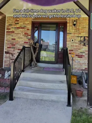 Living the dream life with all these pups!  Io was one of my first few clients w