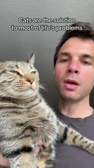 Cats are the solutions to most of life’s problems #cat #cats #catlover #catlover