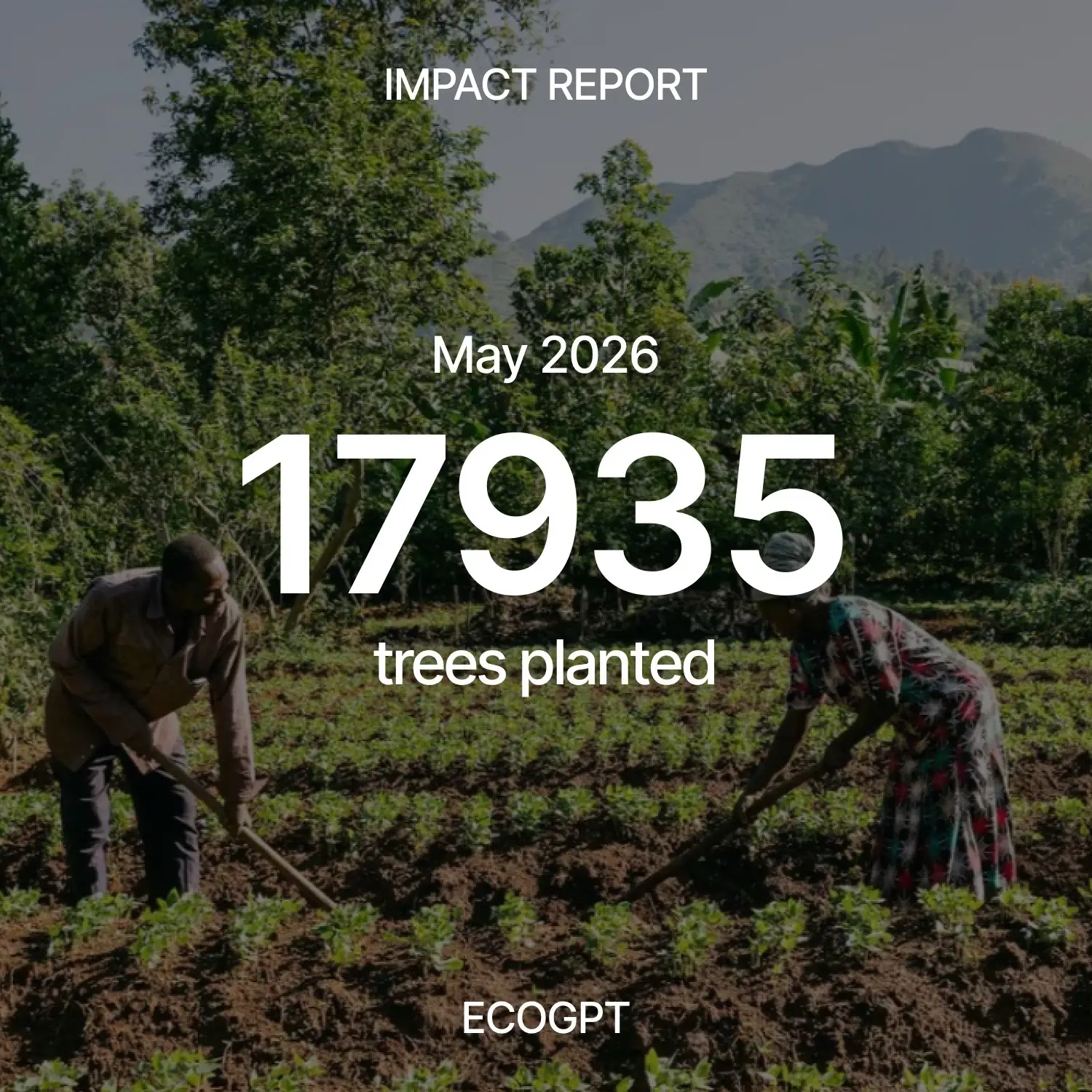 May impact report: 17,935 trees planted, bringing EcoGPT’s lifetime total to 34,