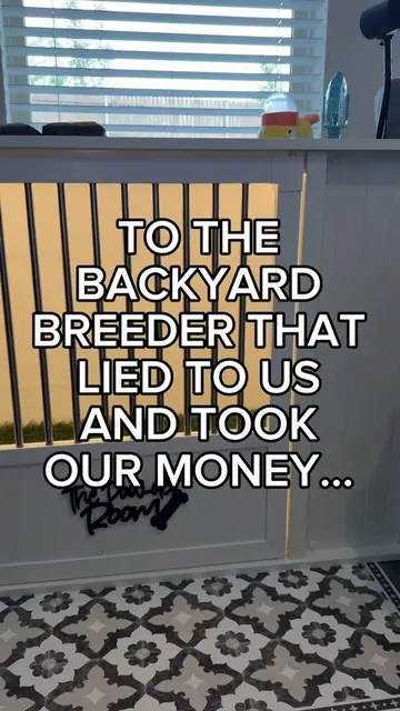 To the backyard breeder who sold us a puppy dying of Parvo—diagnosed just THREE 
