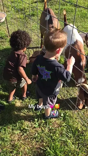 ❤️❤️