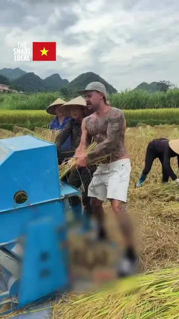 Chi cả nghìn đô qua Việt Nam du lịch nhưng ngỡ đâu như đi xuất khẩu lao động. --