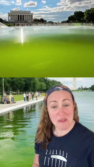 It’s just embarrassing #stem #Science    Sources: 1. “Algae clouded Trump’s visi