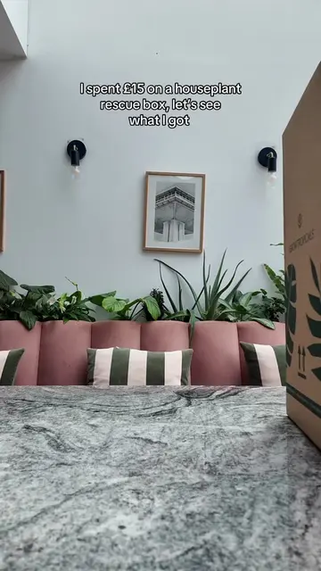 I spent £15 on a houseplant rescue box, let’s see what I got  These houseplants 