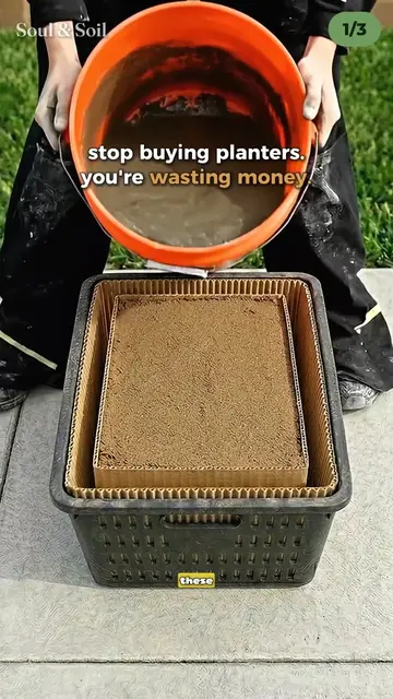 Trust the process on these extreme garden upcycling experiments! 🛠️➡️🪴 Using a