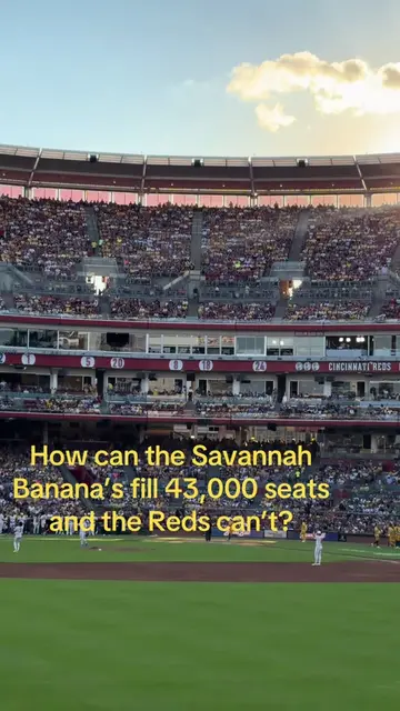 #creatorsearchinsights#contentcreator#savannahbananas#baseball#familyfun 