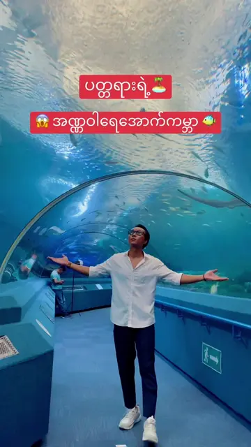 🤩One of the best places to visit in Pattaya , Under Water World 🏝️🐠  #pattaya