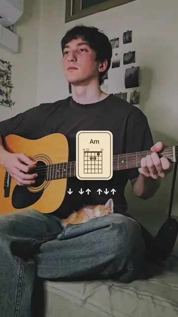 Far from any road – The Handsome Family (True detective theme song) guitar tutor