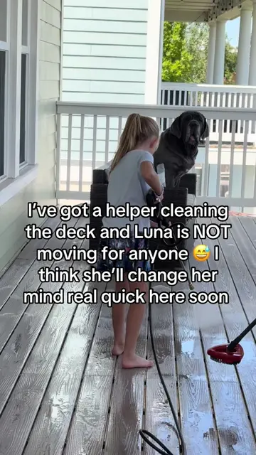 One helper and one observer…not sure if Luna is planning on moving but I think m