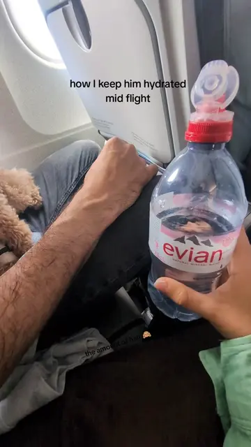 I'm as hairy as Lex 😂 🐻  lex refuses to drink water on planes. full stop. so i