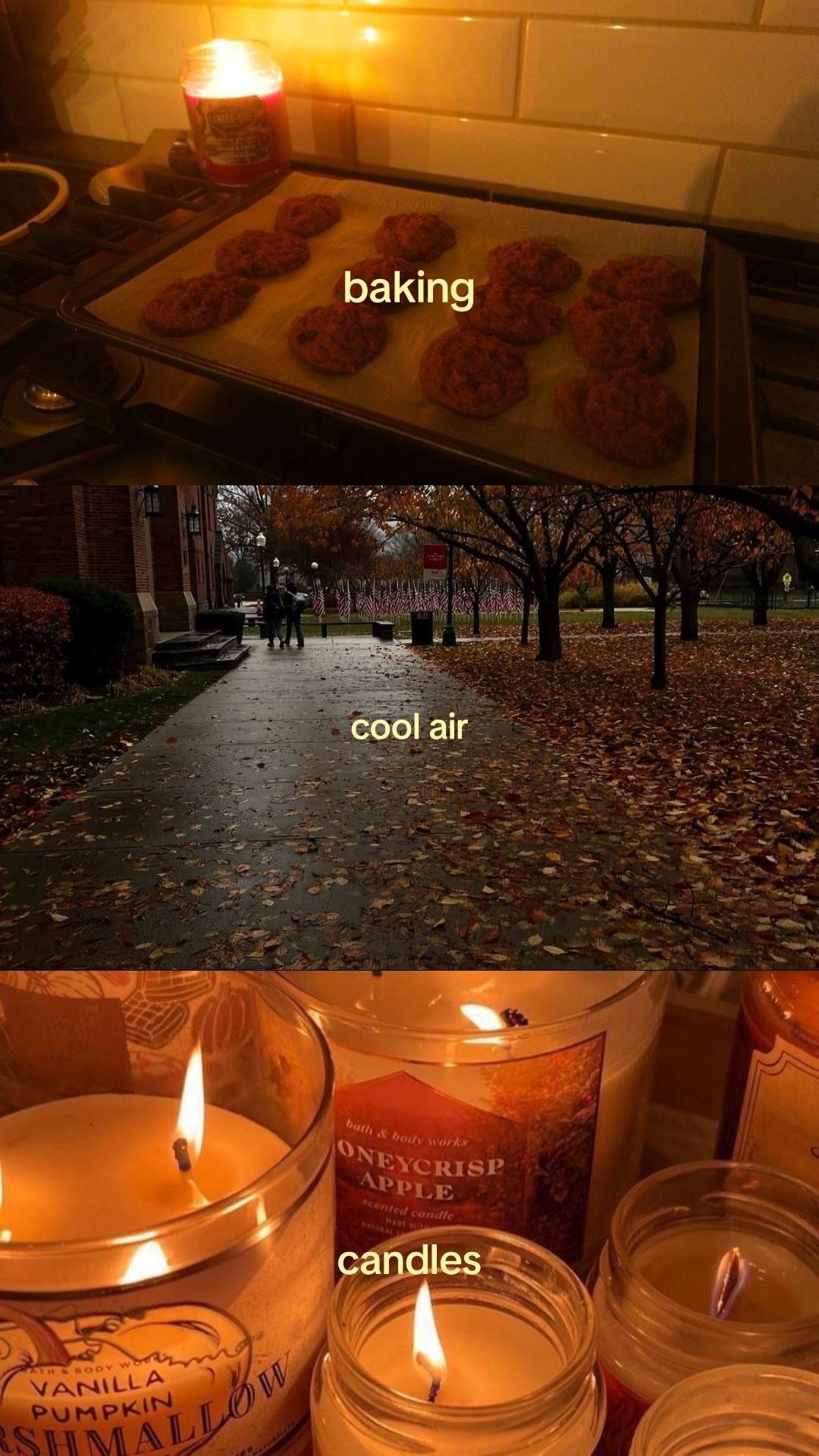 i wish it could be fall all year round || #autumn #fallseason  #autumnaesthetic 