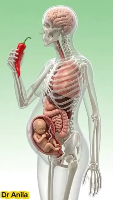 What Happened Inside your Body When you Eat Red Chili 🌶️ During pregnancy 🤰 #t