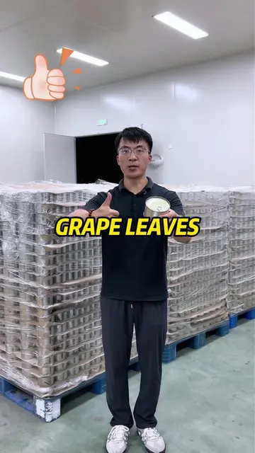 Contact me to start your grape leaf business.#grapeleaves #b2b #wholesale #sourc