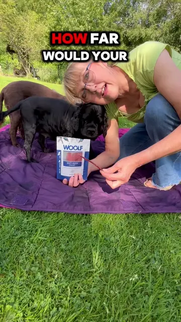 #ad. Woof dog treats. For dog training. For the best photos and funny videos. Pu