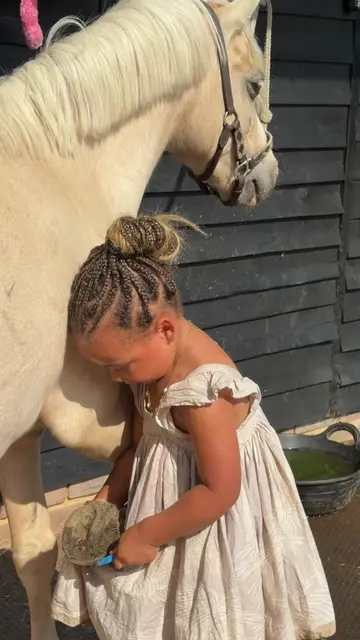 Dakota is still just doing the ground work & building a bond 🤗 with Jack 🐴 bef