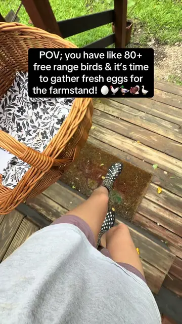 Let’s gather some eggs! 🤭 Also I cleaned out the duck coop after filming this, 