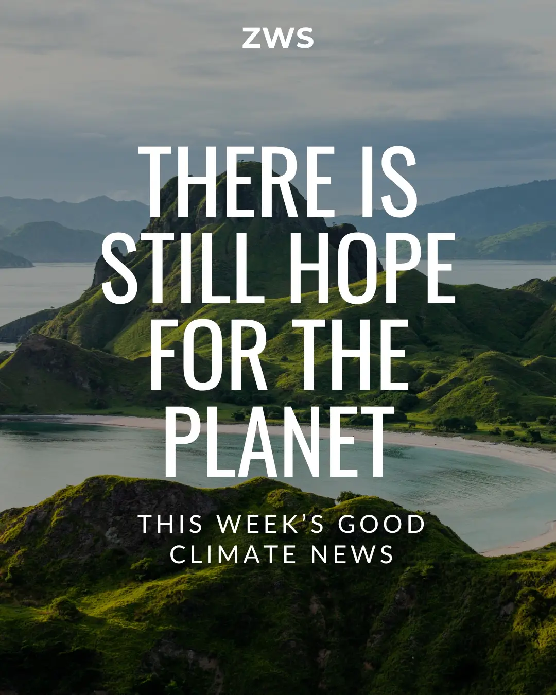 Some good climate news you might've missed! 🚫 A California city became the firs