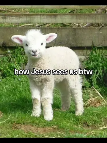 #fyp #viral #jesuschrist #btw #cute 