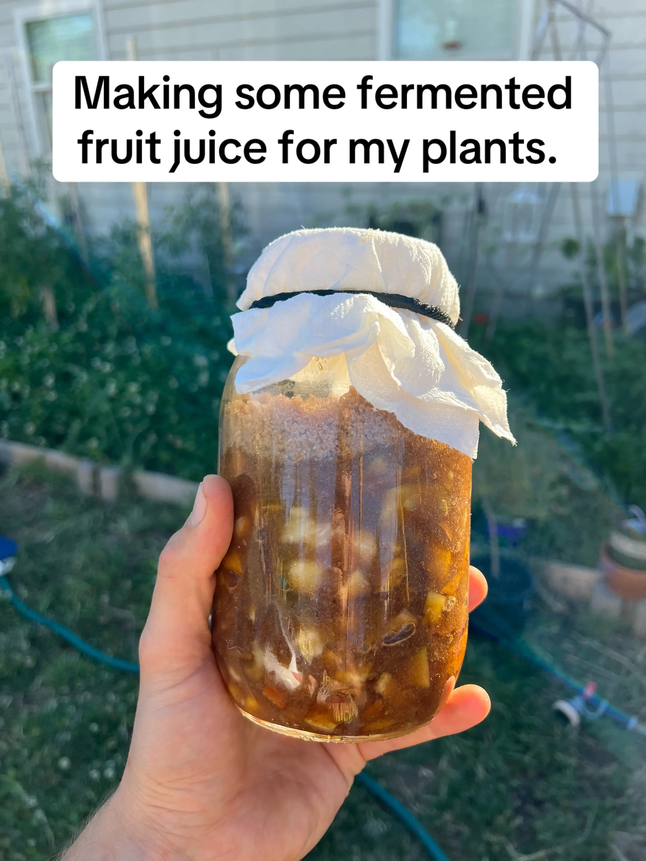 Fermented fruit juice is the ultimate bloom booster. I made this batch by mixing