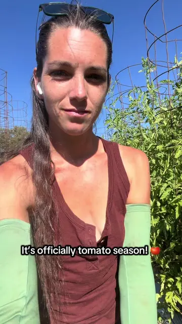 Tomato season has really started and the cherry tomatoes are really producing a 