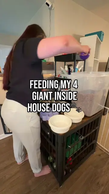 Feeding my 4 giant inside house dogs🐾 #dogfeeding #dogfoodrecipe #dogfood #dogm