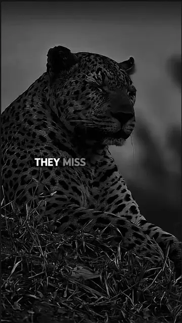 They Didn’t Miss You #motivation #motivationalpicksyt #nocomfortzone #fyp #relat