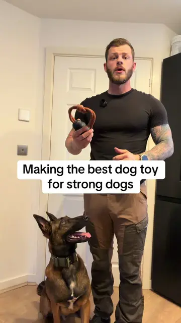 If you’re looking for a strong dog toy that won’t snap and break within a week, 