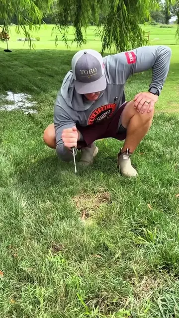 Must-Have Lawn Tools to Make Yard Work Super Easy✨#HomeGarden #LawnMaintenance#L