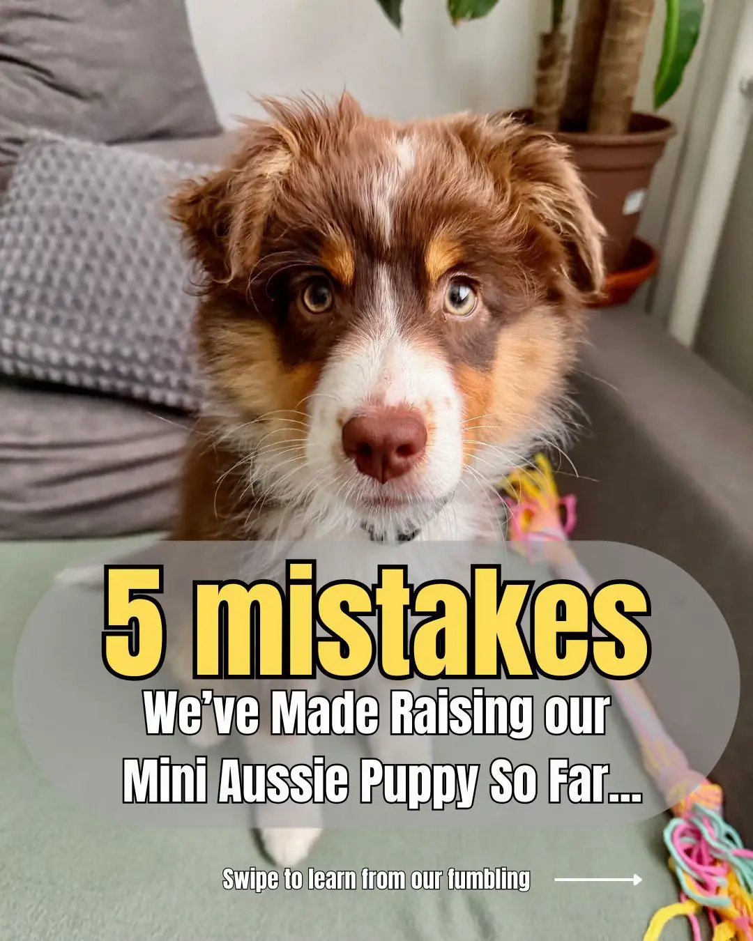 Let's be totally transparent—raising Zuri hasn't been a walk in a park.  We’ve g