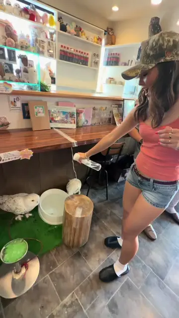 Out of all the animal cafes I went to this one was BY FAR the most interesting..