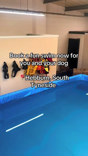 Book your dogs fun swim in now at www.gethappytails.co.uk 