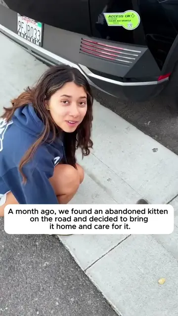 A month ago,We found an abandoned kitten on the road . #fyp #kitten #animals #re