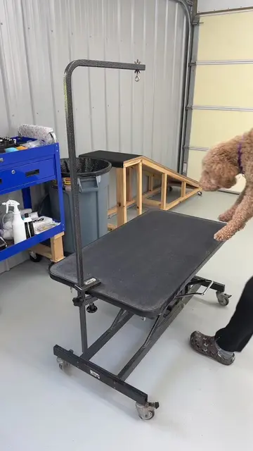 Such a cute little guy! 🥰🐾 #goldendoodle #doggroomer #haircut #doggrooming #gr