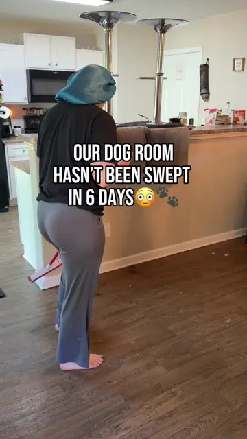 Summer with 4 dogs isn’t for the weak😭🐾 #CleanTok #dogsoftiktok #dogmomlife #c