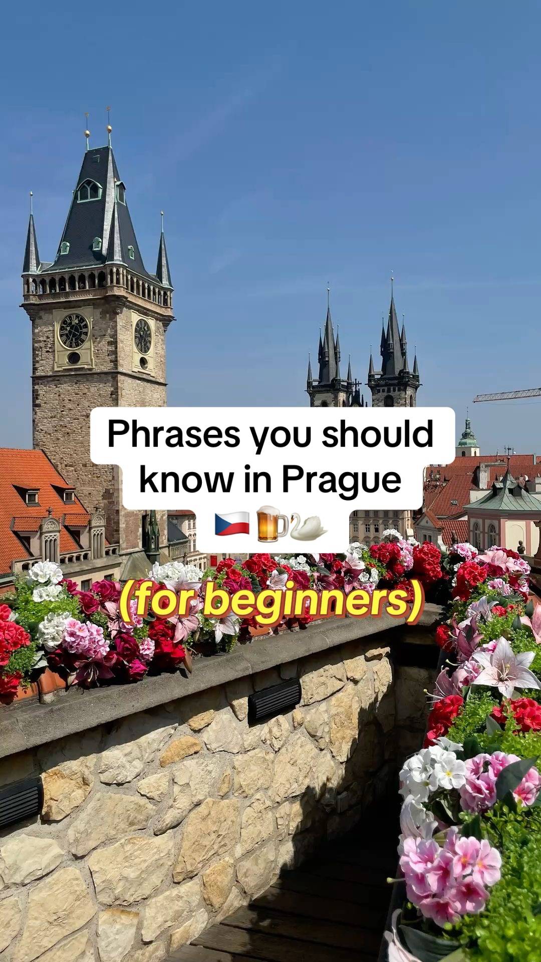 #prague #czech #eurosummer #languagetips #translatenowapp 