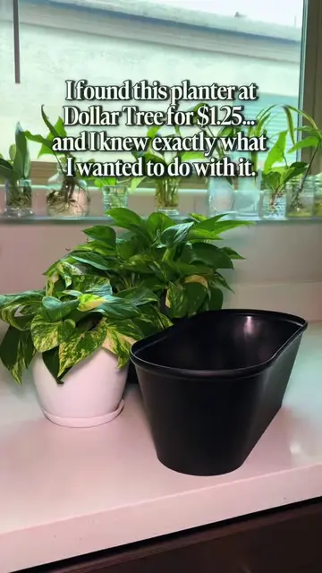 Who says you need to buy a bigger plant? 🌿💚 I found this $1.25 planter at Doll
