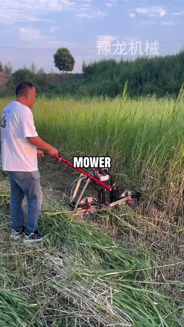 Lawn mower#Lawn Mower #Gardening Tools #Road Maintenance #Herbal Crop Cutter