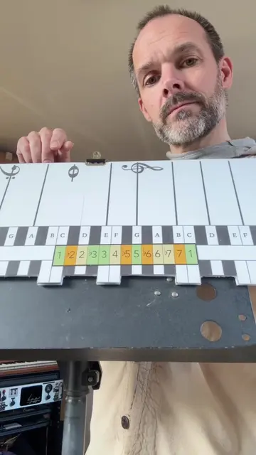 Did you know that learning music can literally change the way your brain works? 