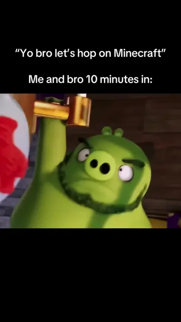 You’re wrecking my house🗣️🗣️🗣️🗣️ #angrybirds #mnecraft #funny #bro #xyzbca 
