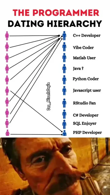The programmer dating hierarchy  #programmer #coding #Tech #softwareengineer #de